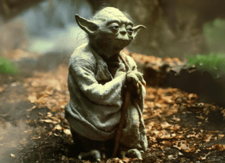 Star Wars– Ismerd meg a galaxis legendás karaktereit! Yoda mester az erdőben